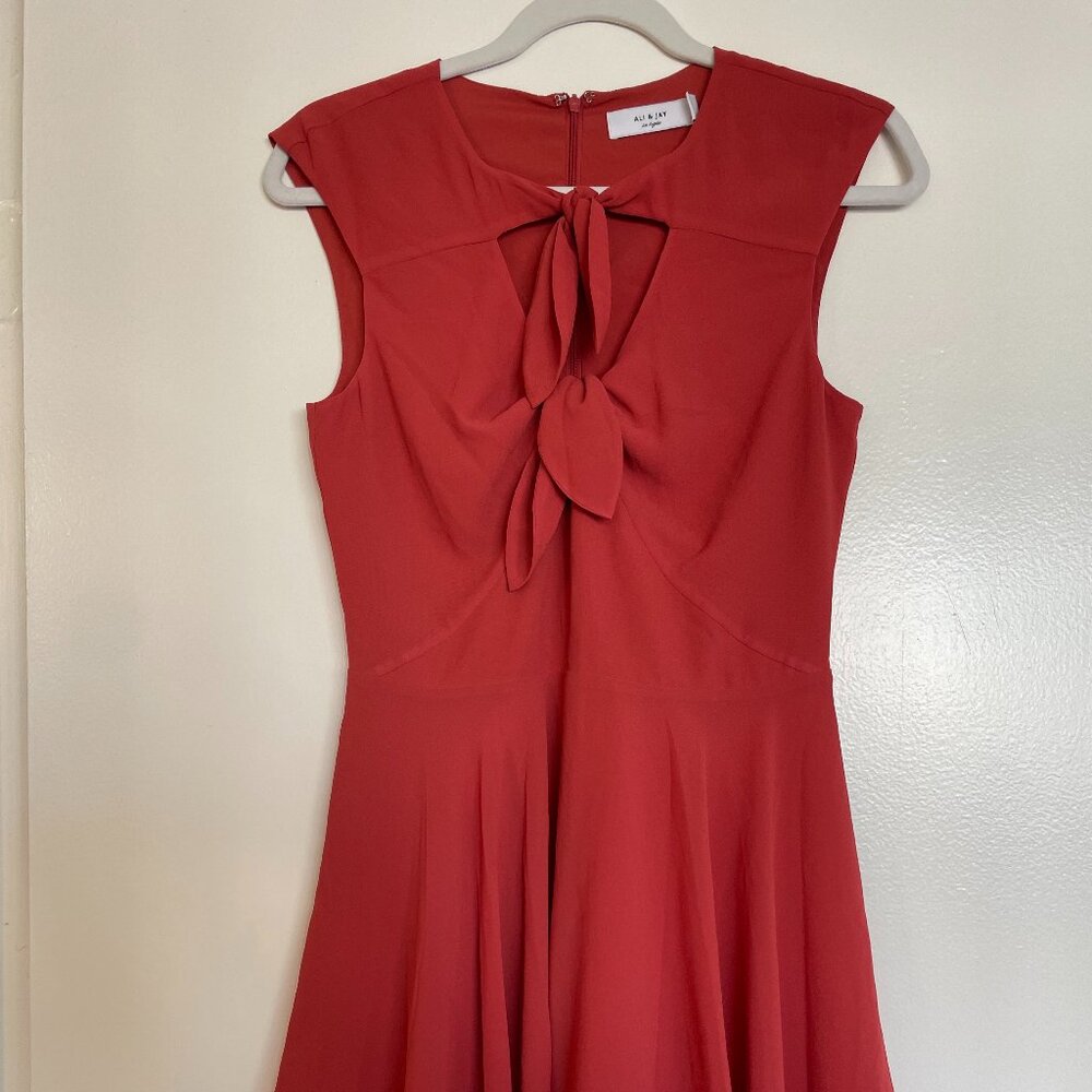 Ali & Jay Tie Front Minidress in Rust S